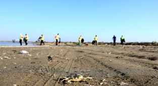 Hatay ve Mersin sahillerinde Suriye kaynaklı petrol sızıntısının temizlik çalışmaları sürüyor
