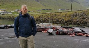 Hayvan hakları savunucusu, Faroe Adaları'ndaki tepki çeken yunus ve balina katliamını AA'ya anlattı