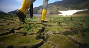 İklim değişikliğine karşı savunmasız ülkelerden 'acil durum anlaşması' çağrısı