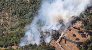 İzmir'de ormanlık alanda yangın çıktı