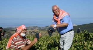 Kavacık'ta Üzüm Festivali zamanı