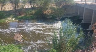 MASKİ’den Gediz Nehri’nin Kirliliği ile İlgili Açıklama