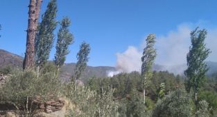 Muğla'da çıkan orman yangınına müdahale ediliyor
