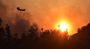 Muğla'daki orman yangınlarıyla ilgili 15'in üzerinde soruşturma dosyası