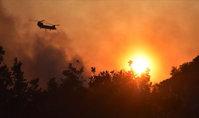 Muğla'daki orman yangınlarıyla ilgili 15'in üzerinde soruşturma dosyası