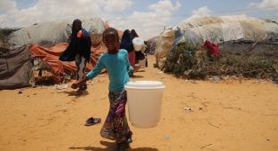 Ruanda kuraklık tehdidine karşı 43 milyon fidan dikecek