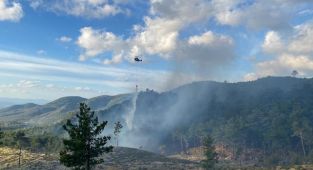 Balıkesir'in Edremit ilçesinde çıkan orman yangınına müdahale ediliyor