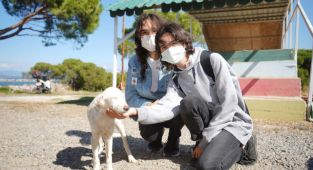 Başkan ergin, “satın alma sahiplen”