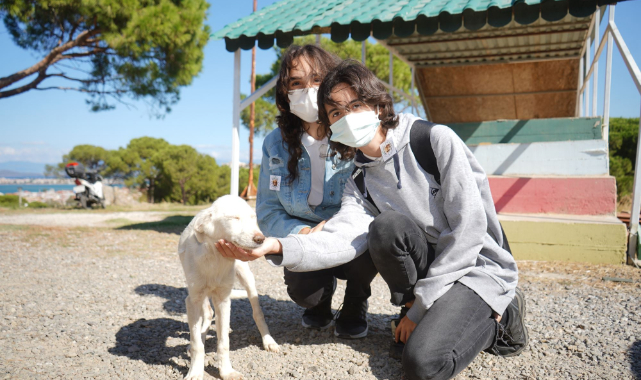 Başkan ergin, “satın alma sahiplen”