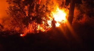 Bodrum'da çıkan orman yangını söndürüldü