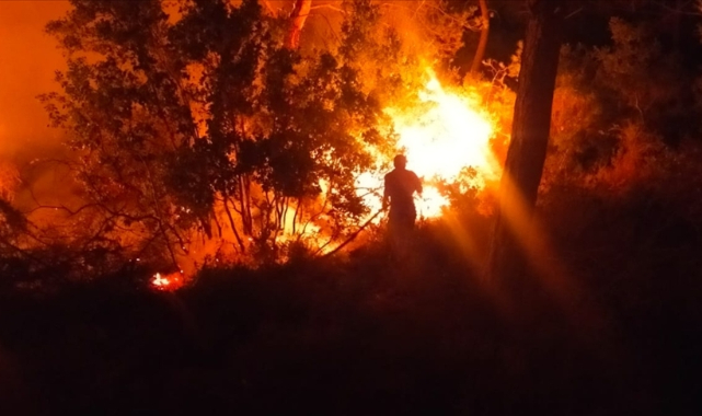 Bodrum'da çıkan orman yangını söndürüldü