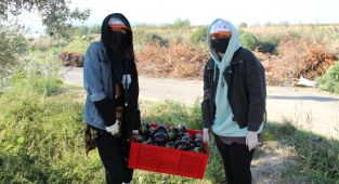 Bu hasatta herkes kazandı