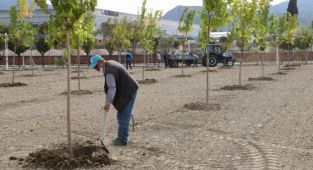 Büyükşehir Manisa'yı Yeşillendirmeye Devam Ediyor