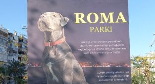 Can dostumuz Roma’nın adı Alaybey’de yaşayacak