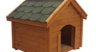 EN İYİ KÖPEK MALZEMELERİ PET İHTİYAÇ'TA!