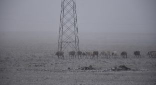 Erzurum ve Kars'ta kar yağışı etkili oldu, Palandöken beyaza büründü
