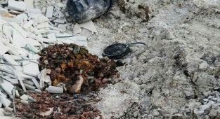 İzmir'de Boş arazide insan vücudu parçaları bulundu