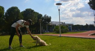 Kampüsün patili dostları Egeli gençleri dört gözle bekliyor