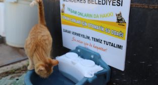 Menderes Parklarına Can Dostlar İçin Su Odakları