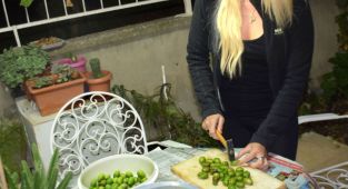 Mutfaklarda kışın soğuk günlerine sıcak yaz esintisi