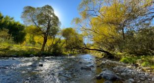 Serçeme Deresi bölgesi sonbahar renklerine büründü