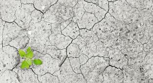 Türkiye, 10 Kasım'da Paris Anlaşması'nın tarafı olacak