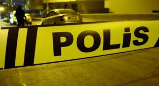 Arazi anlaşmazlığı kavgasında gelinini öldürdü