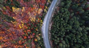 Domaniç Dağları ve Kazdağları'nda rengarenk sonbahar