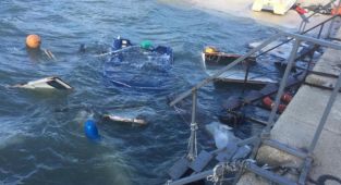 Enez sahilinde lodos nedeniyle 7 kayık battı