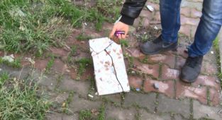 Komşu terörü mahalleliyi canından bezdirdi