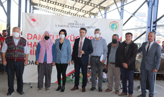 Küçükbaş Hayvancılık ve Arıcılık Hibe Desteği Bir Arada