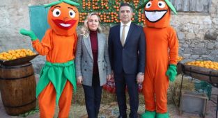 Menderes’te Mandalina Festivali’ne Büyük İlgi 