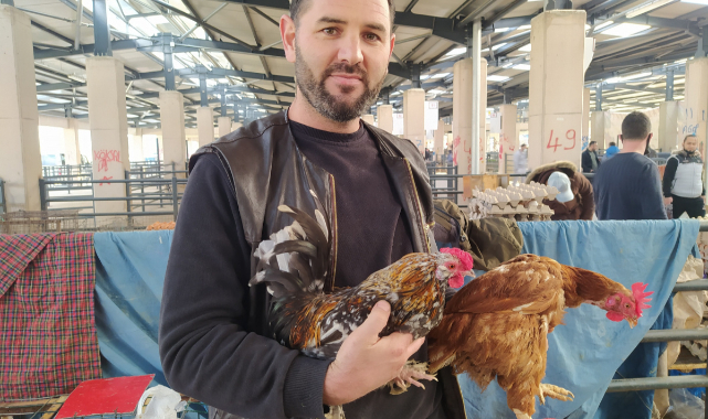 Köy tavuğu satışları patladı