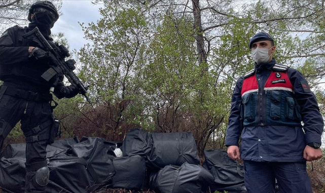 Muğla'da Arnavutluk'tan getirilen 1,5 ton skunk ele geçirildi