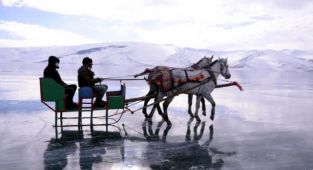 Atlı kızakla buz tutan Çıldır Gölü’nde drift attı