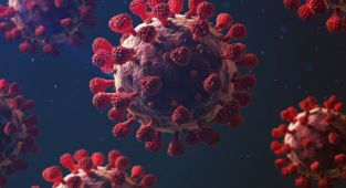 Chicago'da Omicron mutasyonu nedeniyle okullar kapatıldı