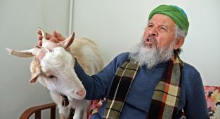 Bu keçi inatçı değil, 'Nazlı'