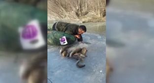 Buz altından elle balık çıkarıyor