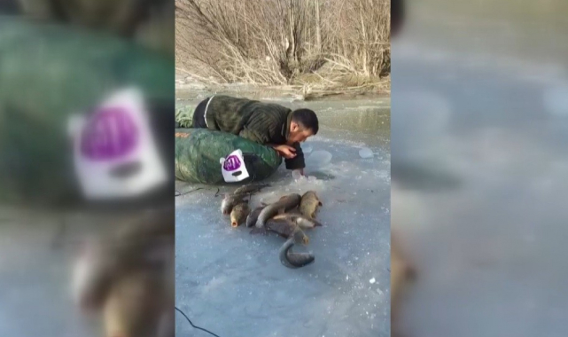 Buz altından elle balık çıkarıyor