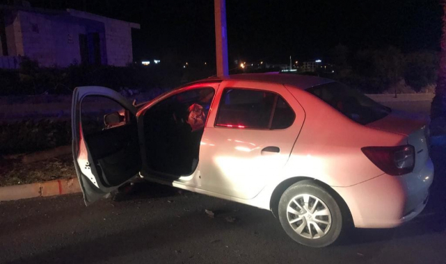 Didim'de trafik kazası