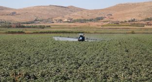 Gübre fiyatlarında yüzde 30'a varan indirim yaptı