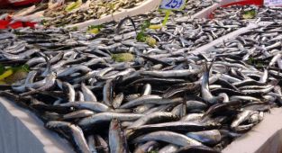 İğneada'dan gelen hamsi Trabzon'da 25 TL'den alıcı buluyor