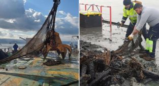 İzmit Körfezi'nden 6 dönüm ağ toplandı