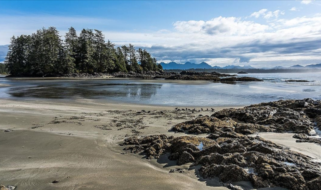 Küresel çapta kıyı bölgelerinin yalnızca yüzde 15'i bozulmadan kaldı