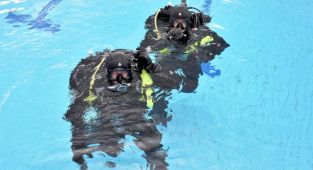 'Su altı komandoları' yılın 200 günü dalış yapıyor