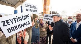 Başkan Tunç Soyer: Zeytin ağaçlarını yok edemeyeceksiniz