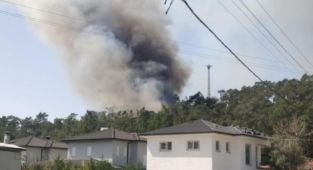 Fethiye'de çıkan orman yangınında 5 dönüm alan zarar gördü