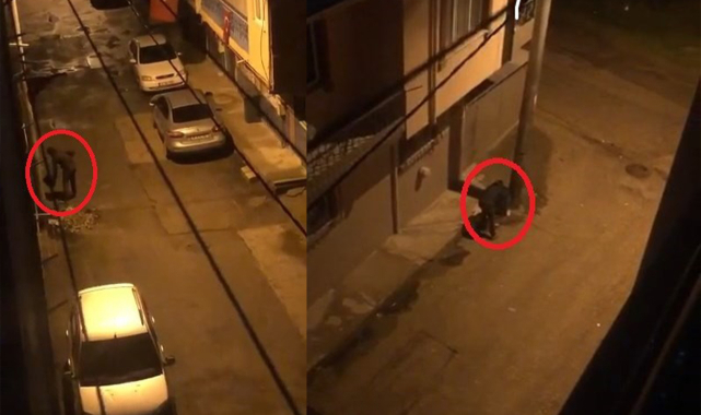 Makasla kesti, çöp kovalarını böyle çalmaya kalkıştı