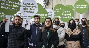 Mimari ve Şehircilik Platformundan İBB'ye çınar ağacı tepkisi