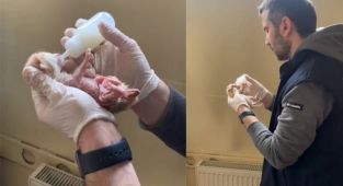 Yeni doğmuş yavru kediye polis şefkati